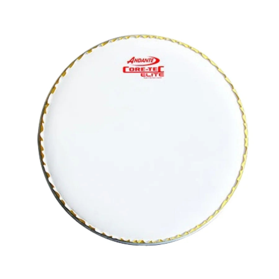 Andante Elite (White) Top Snare Drum Head