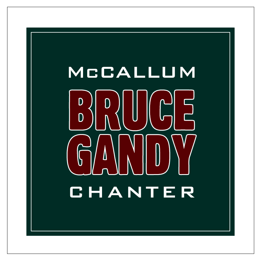 McCallum Gandy Pipe Chanter